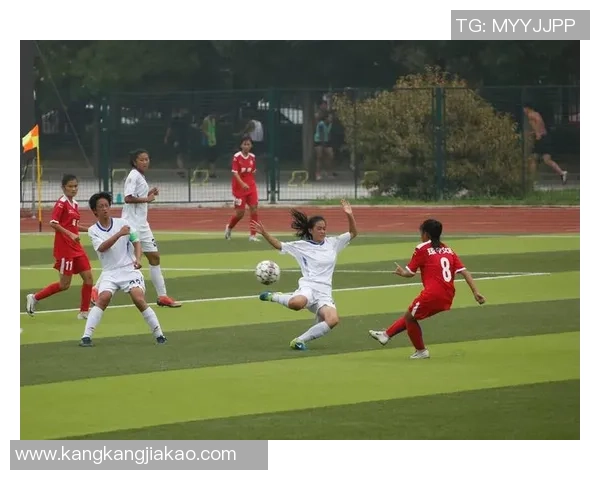 临澧足球明星盘点及其在足球界的影响力分析