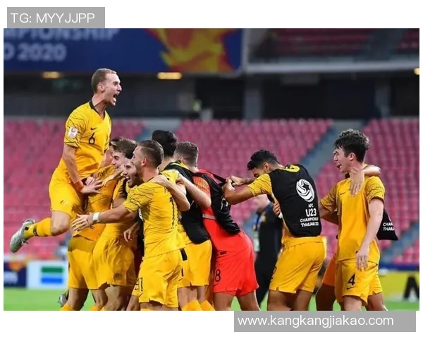 南京羽毛球队的深度解析与控制策略探秘