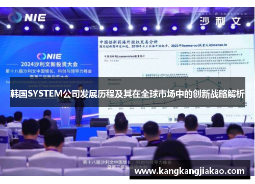 韩国SYSTEM公司发展历程及其在全球市场中的创新战略解析